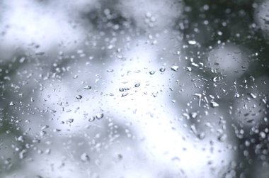 Çiçek açması yeşil ağaçların bulanık manzaralı pencere camına bir fotoğraf yağmur bırakır. Soyut resim bulutlu ve yağmurlu hava koşulları gösterilen