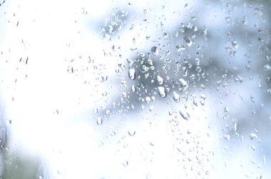Çiçek açması yeşil ağaçların bulanık manzaralı pencere camına bir fotoğraf yağmur bırakır. Soyut resim bulutlu ve yağmurlu hava koşulları gösterilen