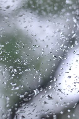 Çiçek açması yeşil ağaçların bulanık manzaralı pencere camına bir fotoğraf yağmur bırakır. Soyut resim bulutlu ve yağmurlu hava koşulları gösterilen
