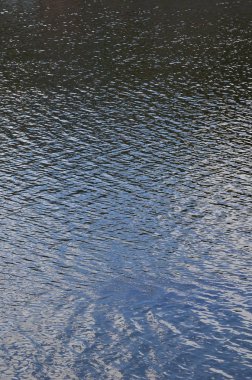 Perspektif içinde baskılı rüzgarın etkisi altında karanlık nehir su doku. Dikey görüntü