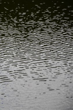 Perspektif içinde baskılı rüzgarın etkisi altında karanlık nehir su doku. Dikey görüntü
