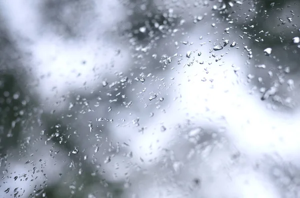 Photo Rain Drops Window Glass Blurred View Blossoming Green Trees — Stock Photo, Image