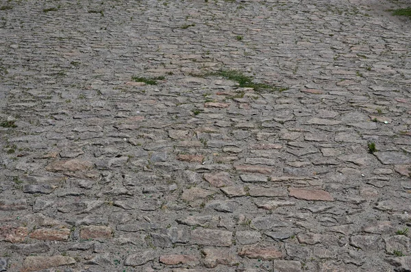 The texture is very old and inaccurately laid out pavers made of relief stones of various shapes