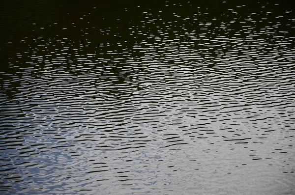 The texture of dark river water under the influence of wind, imprinted in perspective. Horizontal image