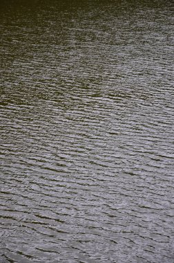 Perspektif içinde baskılı rüzgarın etkisi altında karanlık nehir su doku. Dikey görüntü