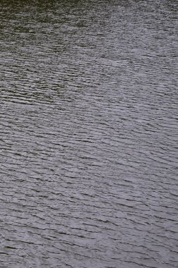 Perspektif içinde baskılı rüzgarın etkisi altında karanlık nehir su doku. Dikey görüntü
