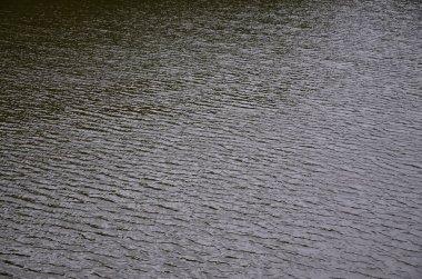 Perspektif içinde baskılı rüzgarın etkisi altında karanlık nehir su doku. Dikey görüntü