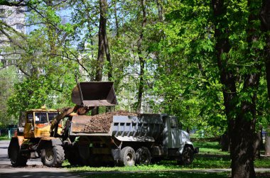 Şehir geliştirme ekibi bir ekskavatör ve bir kamyon ile parkta düşen yapraklar kaldırır. Eğlence için halka açık yerlerde geliştirmeye yönelik düzenli mevsimlik çalışma