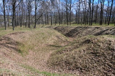 Bahar yatay, derin bir uçuruma düşen yapraklar bir sürü ağaç orman Köyü kenarına çevrili dolu