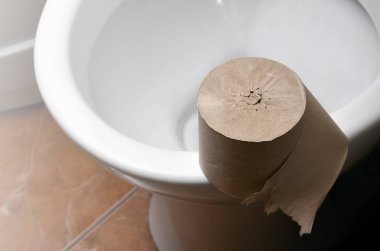 Bir beyaz seramik klozet banyo üzerinde rulo gri tuvalet kağıdı yatıyor