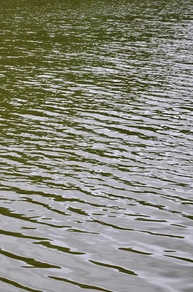 The texture of dark river water under the influence of wind, imprinted in perspective. Vertical image