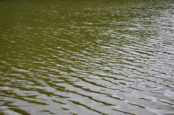 Texturen Mörka Floden Bevattnar Påverkan Vind Inpräntad Perspektiv Horisontell Bild — Stockfoto