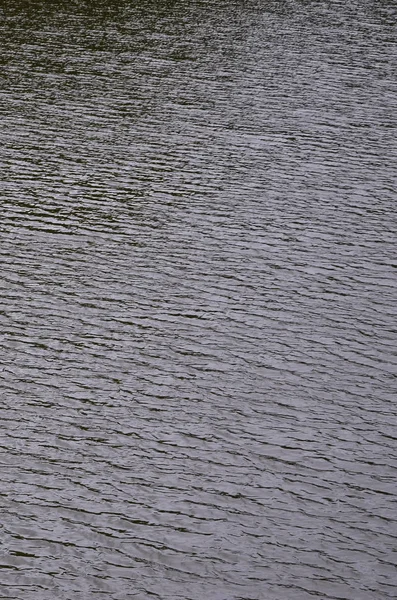 The texture of dark river water under the influence of wind, imprinted in perspective. Vertical image