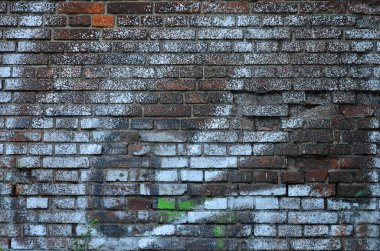 Ayrıntılı görüntü renk grafiti çizim. Arka sokak sanatı resim