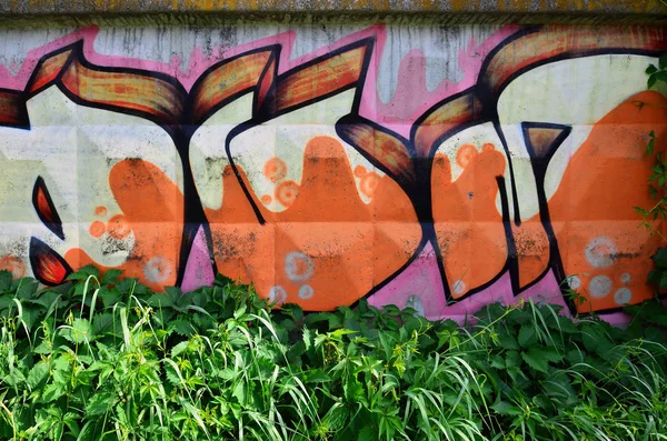 Arte Rua Graffiti Colorido Parede Fragmento Para Fundo Detalhe Abstrato — Fotografia de Stock