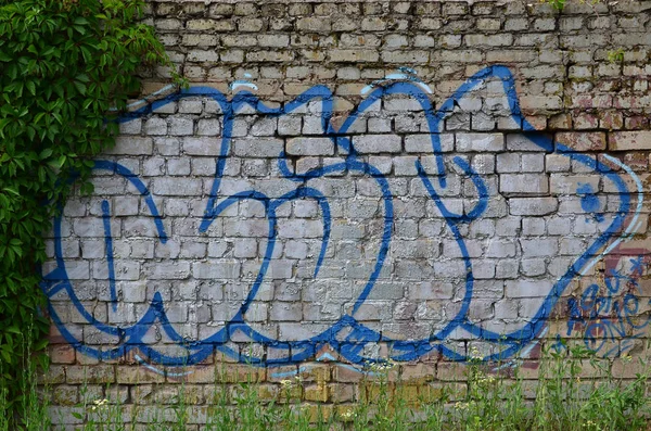 Részletes Képet Egy Színes Graffiti Rajz Borostyán Kősziklák Csészének Street — Stock Fotó