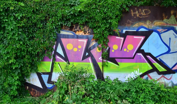 Szczegółowego Obrazu Kolorowy Rysunek Graffiti Który Jest Zarośnięty Zaroślach Bluszcz — Zdjęcie stockowe