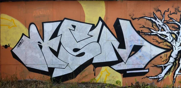 Photographie Une Œuvre Murale Détaillée Graffiti Dessin Est Fait Avec — Photo