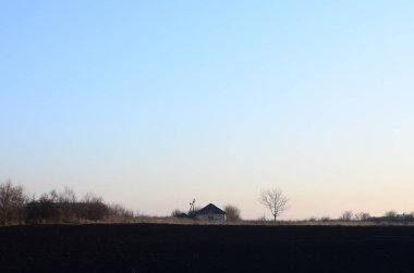 Şafak köyde. Minimalist bir fotoğraf var olduğu bir evde ve bir ağaç bir ufuk çizgisi ile