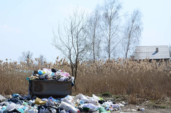 Lata Lixo Embalada Com Lixo Resíduos Remoção Intempestiva Lixo Áreas — Fotografia de Stock