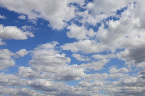 多くの異なるサイズの白い雲と青い空 — ストック写真