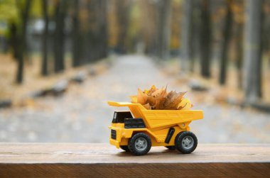 Bir küçük oyuncak sarı kamyon düşen sarı yapraklar ile yüklenir. Araba bulanık bir sonbahar park çerçevede bir ahşap bir yüzey üzerinde duruyor. Temizlik ve düşen yapraklar kaldırılması. Mevsimlik çalışır