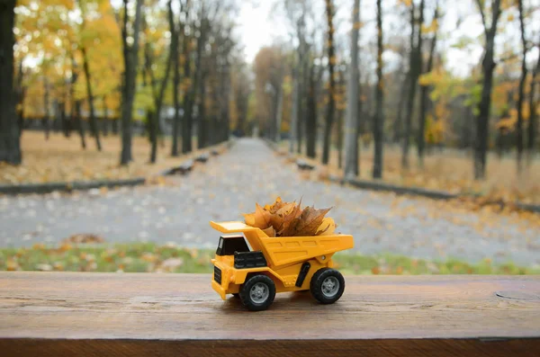 A small toy yellow truck is loaded with yellow fallen leaves. The car stands on a wooden surface against a background of a blurry autumn park. Cleaning and removal of fallen leaves. Seasonal works