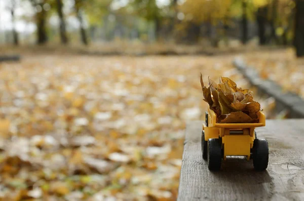 Koncepcja Sezonowych Zbiorów Jesiennych Opadłych Liści Jest Przedstawiany Postaci Ciężarówka — Zdjęcie stockowe