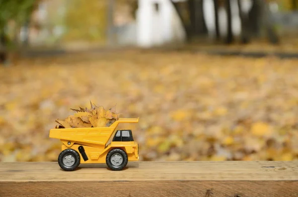 Ciężarówka Zabawka Mały Żółty Jest Ładowany Żółtym Opadłych Liści Samochód — Zdjęcie stockowe