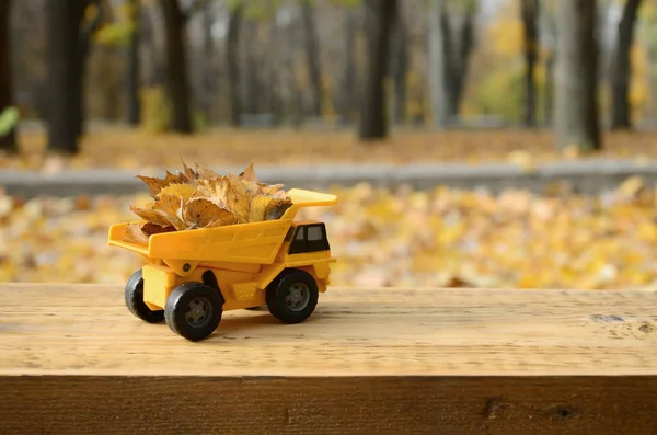 A small toy yellow truck is loaded with yellow fallen leaves. The car stands on a wooden surface against a background of a blurry autumn park. Cleaning and removal of fallen leaves. Seasonal works