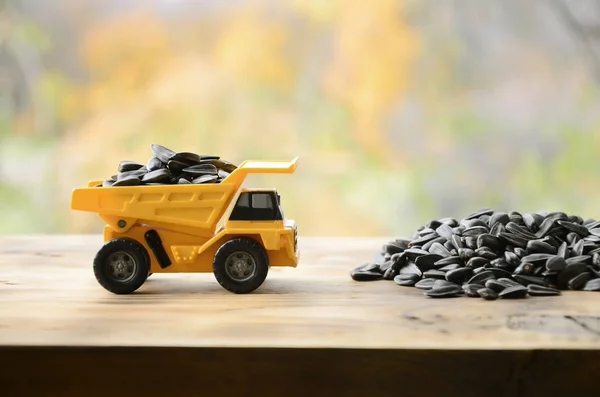 해바라기 해바라기 노란색 장난감 됩니다 표면에 자동차 해바라기 씨앗의 — 스톡 사진