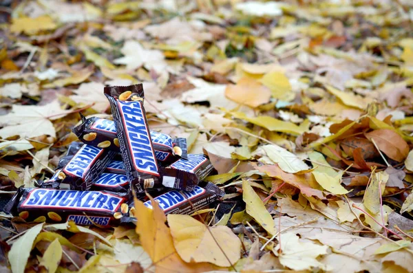 Snickers barras de chocolate en envoltura marrón se encuentra en el fondo de las hojas de otoño —  Fotos de Stock