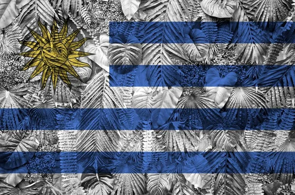 Uruguay Vlag Afgebeeld Vele Bladeren Van Monstera Palmbomen Trendy Modieuze — Stockfoto