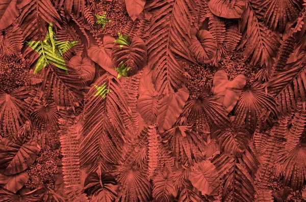 China flag depicted on many leafs of monstera palm trees. Trendy fashionable background