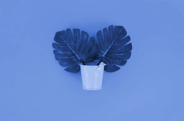 Tropical palm monstera leaf lies in a pastel pail on phantom classic blue background. Flat lay trendy minimal composition. Top view.