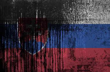 Slovakya bayrağı, eski ve kirli yağ varili duvarlara boya renkleri ile resmedilmiş. Kabataslak arkaplanda desenli pankart
