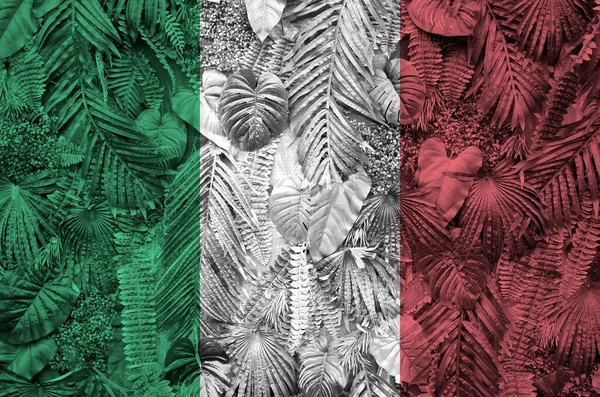 Bandeira Itália Retratada Muitas Folhas Palmeiras Monstera Fundo Moda Moda — Fotografia de Stock