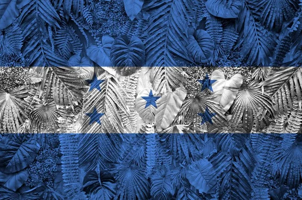 Bandiera Honduras Raffigurato Molte Foglie Palme Monstera Sfondo Alla Moda — Foto Stock