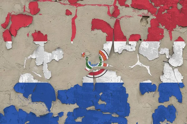 Paraguay Flagga Avbildad Färg Färger Gamla Föråldrade Röriga Betong Vägg — Stockfoto