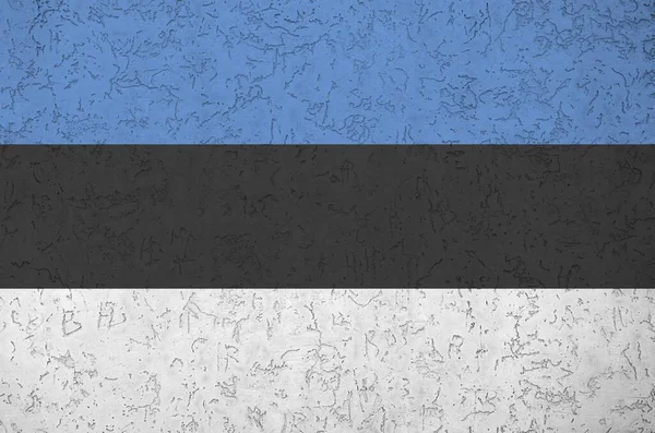 에스토니아 국기는 구호용 색으로 묘사되어 배경에 길들여진 현수막 — 스톡 사진