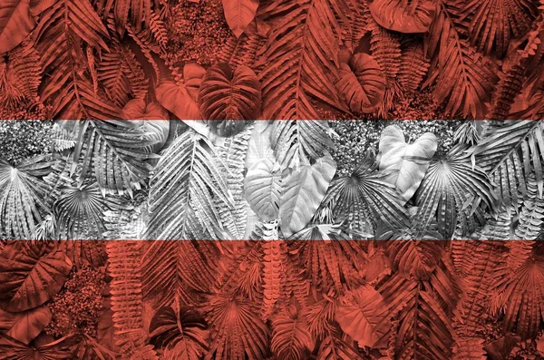 Oostenrijk Vlag Afgebeeld Vele Bladeren Van Monstera Palmbomen Trendy Modieuze — Stockfoto
