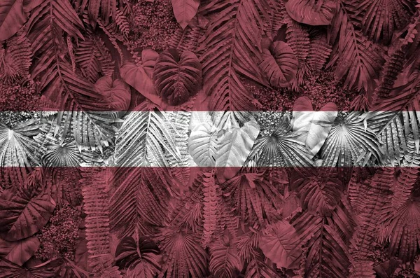 Letland Vlag Afgebeeld Vele Bladeren Van Monstera Palmbomen Trendy Modieuze — Stockfoto