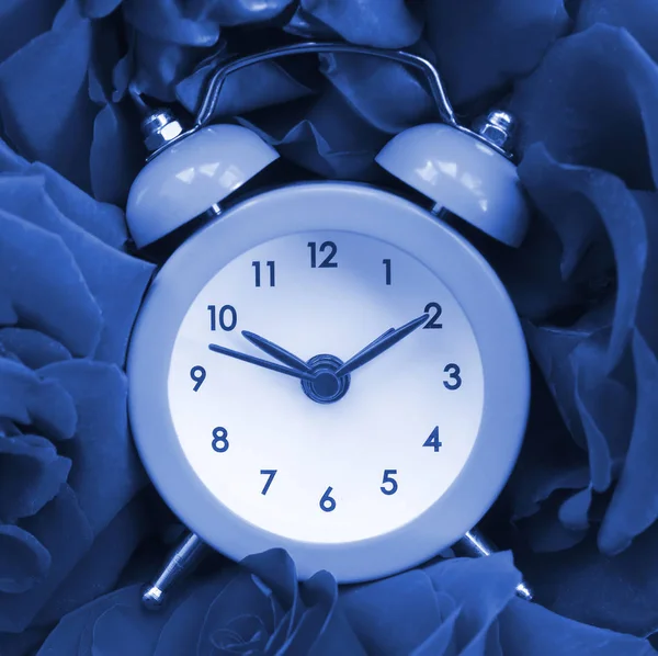Güllerle Çevrili Küçük Sevimli Çalar Saat Romantik Sahne Aşk Konsepti — Stok fotoğraf