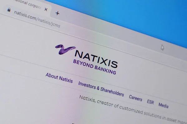 PC 、 URLの表示上のnatixisウェブサイトのホームページ- natixi.com. — ストック写真