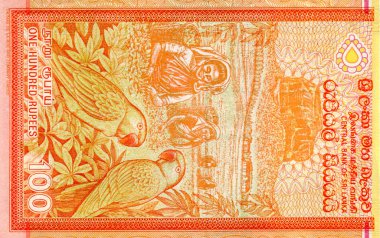 100 Sri Lanka rupi banknotunun parçası Sri Lanka 'nın ulusal para birimidir.