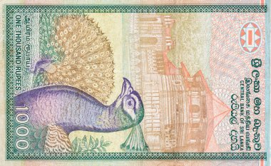 1000 Sri Lanka rupisi. Para faturası renkli banknot.