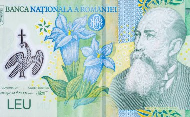Romen parasının üzerindeki Nicolae Yorga portresi Romanya bankasından 1 Leu 2005 Banknote