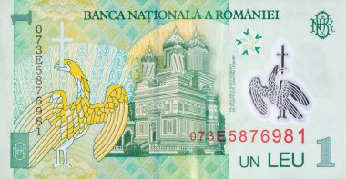 Curtea de Arthedral 'in Rumen parasından portresi 1 Leu 2005 Banknote