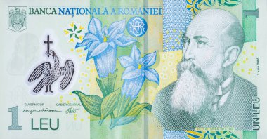 Romen parasının üzerindeki Nicolae Yorga portresi Romanya bankasından 1 Leu 2005 Banknote