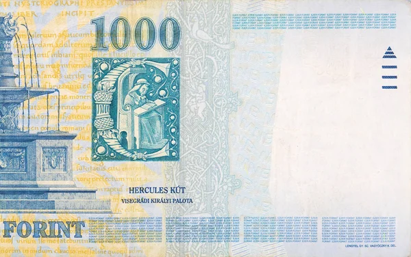 Visegrad Koninklijke Fontein op Hongarije 1000 Forint 2006 bankbiljetfragment — Stockfoto